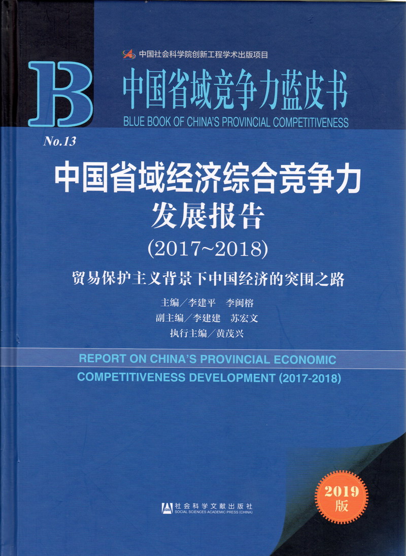 被艹啊啊啊啊中国省域经济综合竞争力发展报告（2017-2018）